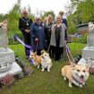 Outrage in Walsall as council spend £35,000 on corgi statues for Queen tribute