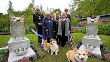 Outrage in Walsall as council spend £35,000 on corgi statues for Queen tribute