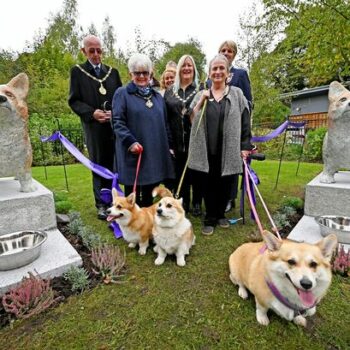 Outrage in Walsall as council spend £35,000 on corgi statues for Queen tribute