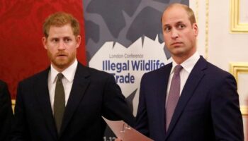 'PR gold dust' Royal's peace-making efforts between Prince William and Harry amid ongoing Royal feud