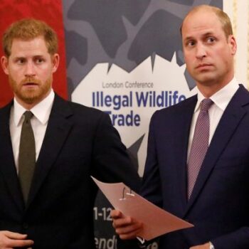 'PR gold dust' Royal's peace-making efforts between Prince William and Harry amid ongoing Royal feud