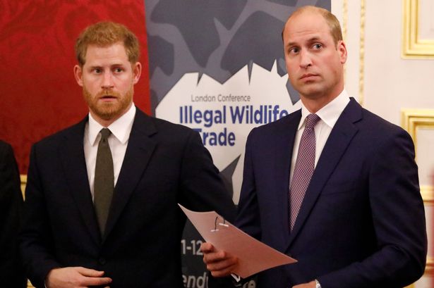 'PR gold dust' Royal's peace-making efforts between Prince William and Harry amid ongoing Royal feud