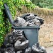 People are 'today years old' after discovering clever trick to replace bin bags