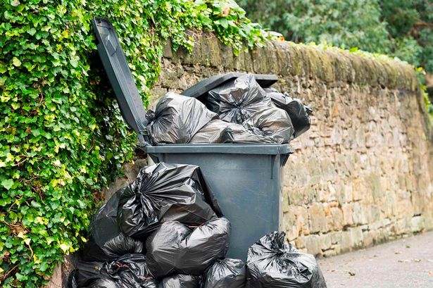 People are 'today years old' after discovering clever trick to replace bin bags