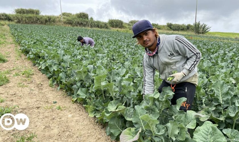 Portugal: Schärfere Regeln für Migranten