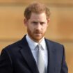 Prince Harry’s horse died in heartbreaking drama slammed by animal rights charity