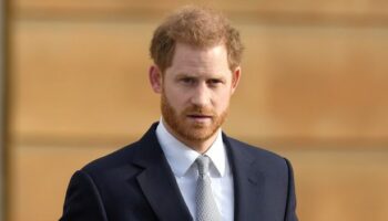 Prince Harry’s horse died in heartbreaking drama slammed by animal rights charity