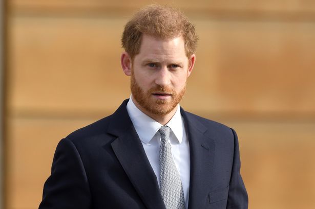 Prince Harry’s horse died in heartbreaking drama slammed by animal rights charity