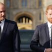 Prince William's three-word code to brother Harry that left prince stunned