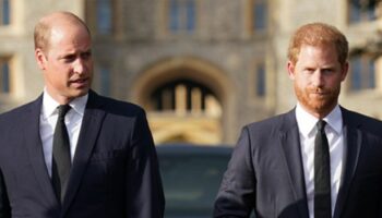 Prince William's three-word code to brother Harry that left prince stunned