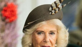 Queen Camilla's son sets record straight on reputation that's plagued her