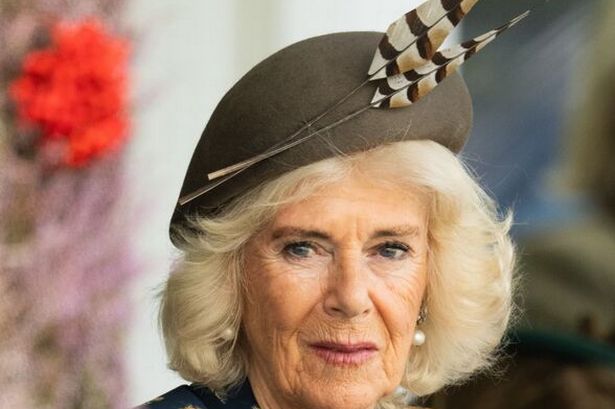 Queen Camilla's son sets record straight on reputation that's plagued her