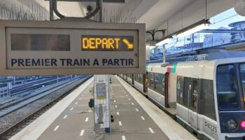 RER B : un homme interpellé avec une arme dans une rame, le trafic temporairement perturbé