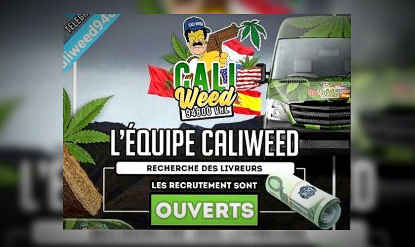 Réseau Caliweed : le spécialiste de la livraison de cannabis passe à la cocaïne et aux drogues de synthèse