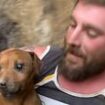 Rose is free! Joy as rescuers liberate dog which spent eight days trapped underground after falling down crevice