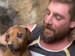 Rose is free! Joy as rescuers liberate dog which spent eight days trapped underground after falling down crevice