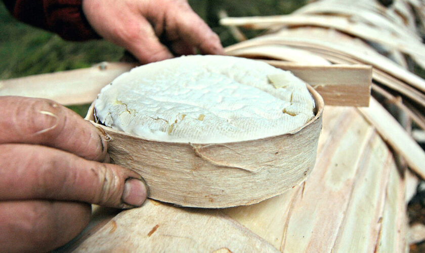 Salmonellose : Carrefour, Auchan, Leclerc, Intermarché… des fromages Mont d’or rappelés partout en France