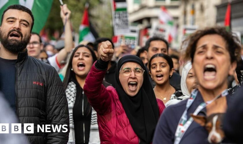 Tens of thousands take part in pro-Palestinian march