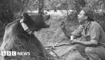 The bear who was a private in the Polish army