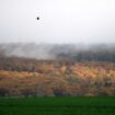 Wegen des Klimawandels ist der Zustand vieler Wälder in Niedersachsen schlecht. (Archivfoto) Foto: Alicia Windzio/dpa