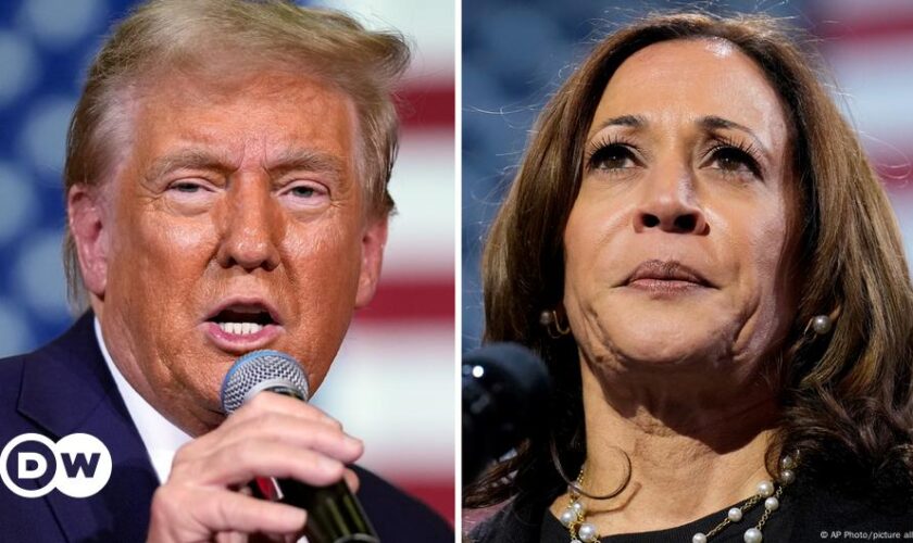 US election: Harris and Trump rally supporters in Michigan