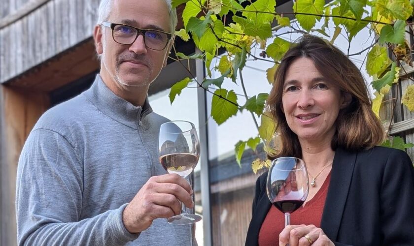 «Une alternative pour se faire plaisir» : une cave à vins 100% sans alcool ouvre à Bordeaux