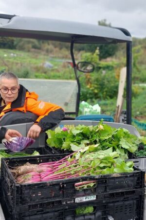 Une ferme bio de Longpont recueille 13 000 euros de dons pour récolter ses légumes dans de bonnes conditions