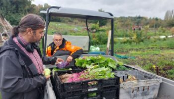 Une ferme bio de Longpont recueille 13 000 euros de dons pour récolter ses légumes dans de bonnes conditions