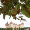 Herbst am Schloss Moritzburg nahe Dresden. Foto: Sebastian Kahnert/dpa