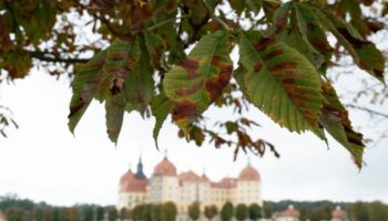 Herbst am Schloss Moritzburg nahe Dresden. Foto: Sebastian Kahnert/dpa