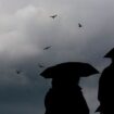 Nebel und Wolken bestimmen meist das Wetter. (Archivfoto) Foto: Oliver Berg/dpa