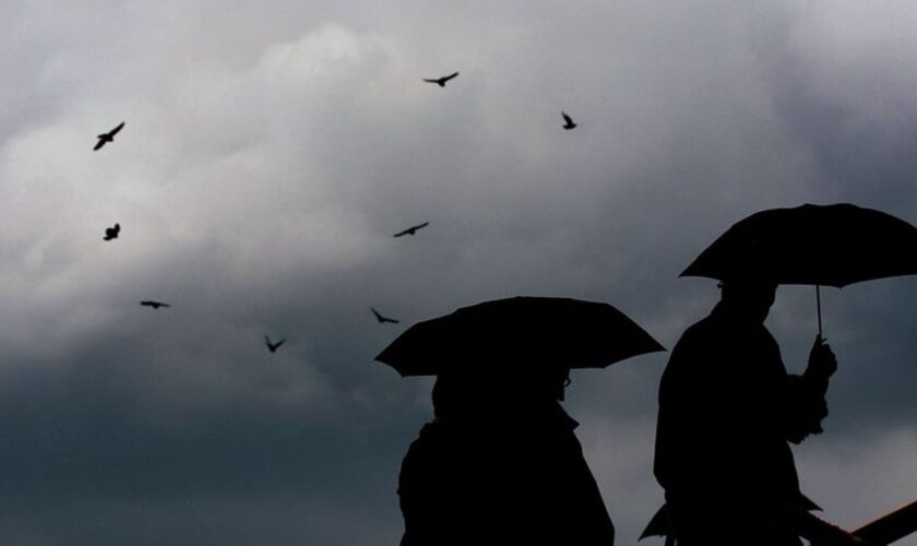 Nebel und Wolken bestimmen meist das Wetter. (Archivfoto) Foto: Oliver Berg/dpa