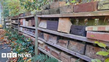 We've collected 6,000 bricks - now we need to find them a new home