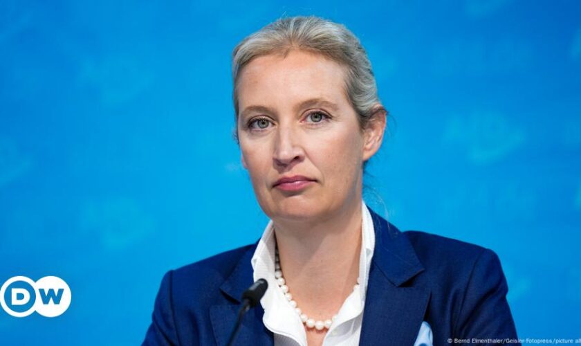 Who is Germany's far-right AfD leader Alice Weidel?