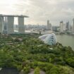 Wie Singapur seine Wasserkrise bewältigt