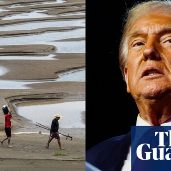 ‘A wrecking ball’: experts warn Trump’s win setbacks global climate action