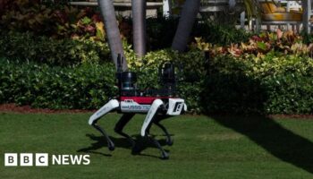 ‘Do not pet’: Why are robot dogs patrolling Mar-A-Lago?