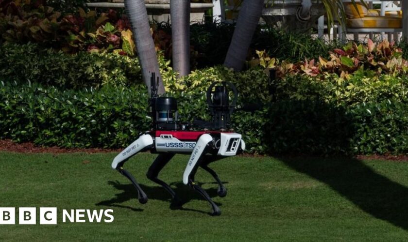 ‘Do not pet’: Why are robot dogs patrolling Mar-A-Lago?