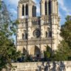 1000 pièces de bois, des centaines d’artisans… L’épopée de la reconstitution de la charpente de Notre-Dame de Paris