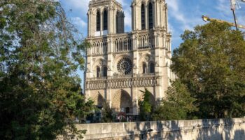 1000 pièces de bois, des centaines d’artisans… L’épopée de la reconstitution de la charpente de Notre-Dame de Paris