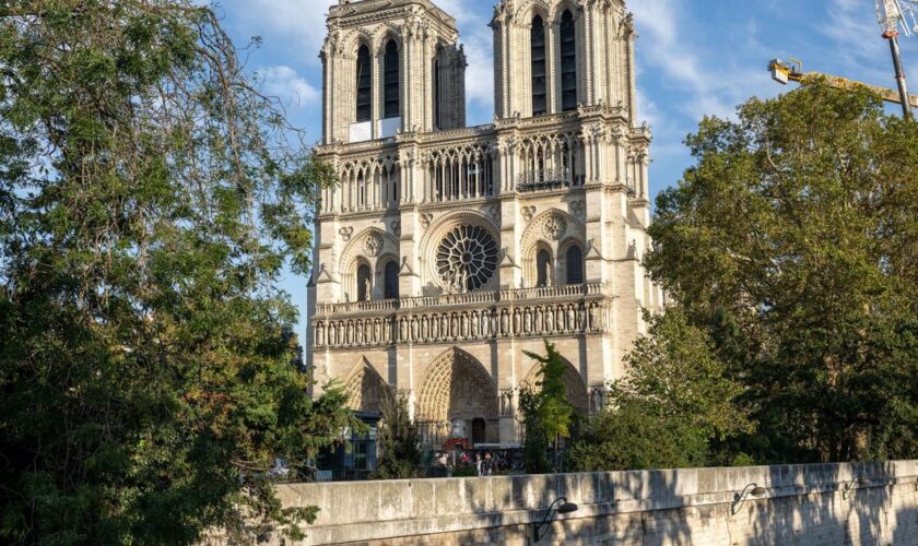 1000 pièces de bois, des centaines d’artisans… L’épopée de la reconstitution de la charpente de Notre-Dame de Paris