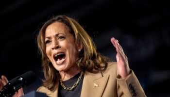 Kamala Harris lors d'un meeting à Chandler, en Arizona, le 10 octobre 2024