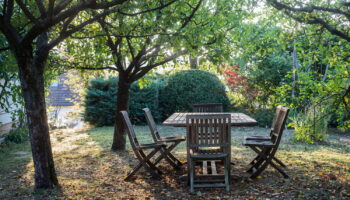 Les jardiniers doivent saupoudrer du piment à cet endroit dès maintenant - une des raisons est surprenante