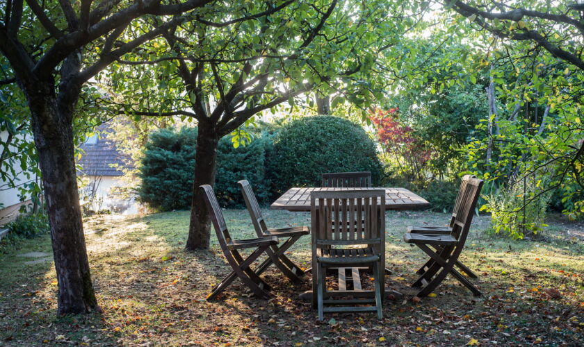 Les jardiniers doivent saupoudrer du piment à cet endroit dès maintenant - une des raisons est surprenante