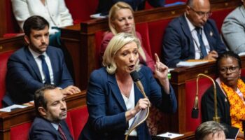 A l’Assemblée, le RN fait chou blanc sur sa niche parlementaire et renvoie aux « prochaines élections »