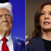 November surprise: Dismal jobs report gives Trump last-minute political ammunition to fire at Harris