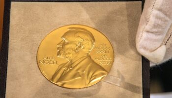 La médaille Nobel. Les travaux sur les nouveaux matériaux et l'intelligence artificielle figurent en bonne position pour le prix de chimie 2024