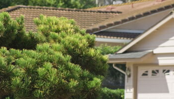 Il ne faut surtout pas approcher ou toucher cette petite bête - elle est de retour dans les jardins