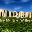 I’m a Celebrity 2024 full line-up ‘revealed’