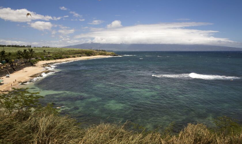 Birds fly over Ho'okipa Beach Park in Paia, Maui, Hawaii July 31, 2015. Pic: Reuters